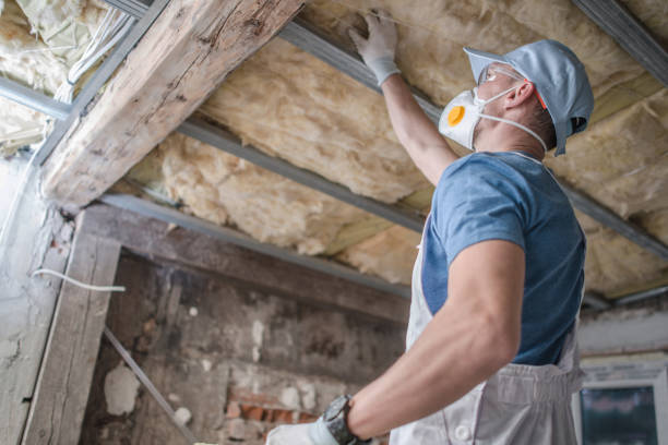 Best Insulation Materials and Products in New Iberia, LA